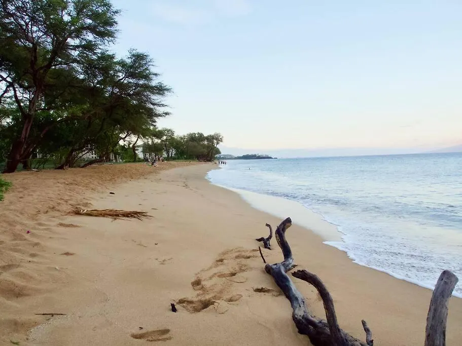Ocean View One Bedroom At Honua Kai!! Lahaina United States