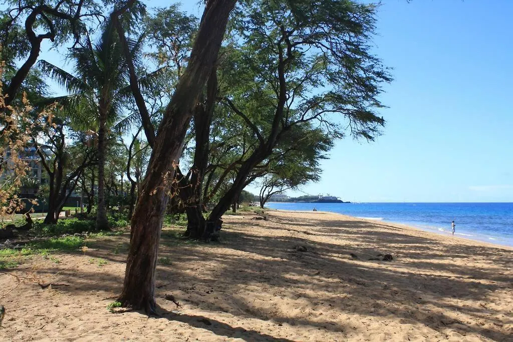 Ocean View One Bedroom At Honua Kai!! Lahaina